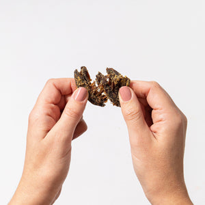 Teriyaki Mushroom Jerky - Limited Edition Bulk 8oz