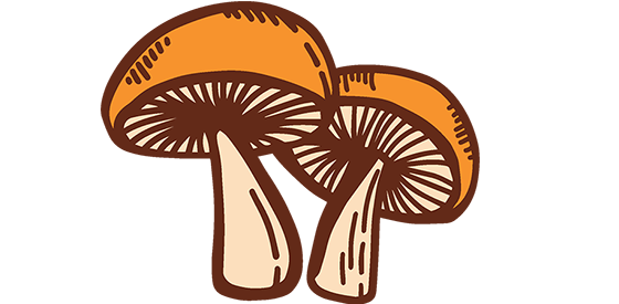 Pan's Mushroom Jerky