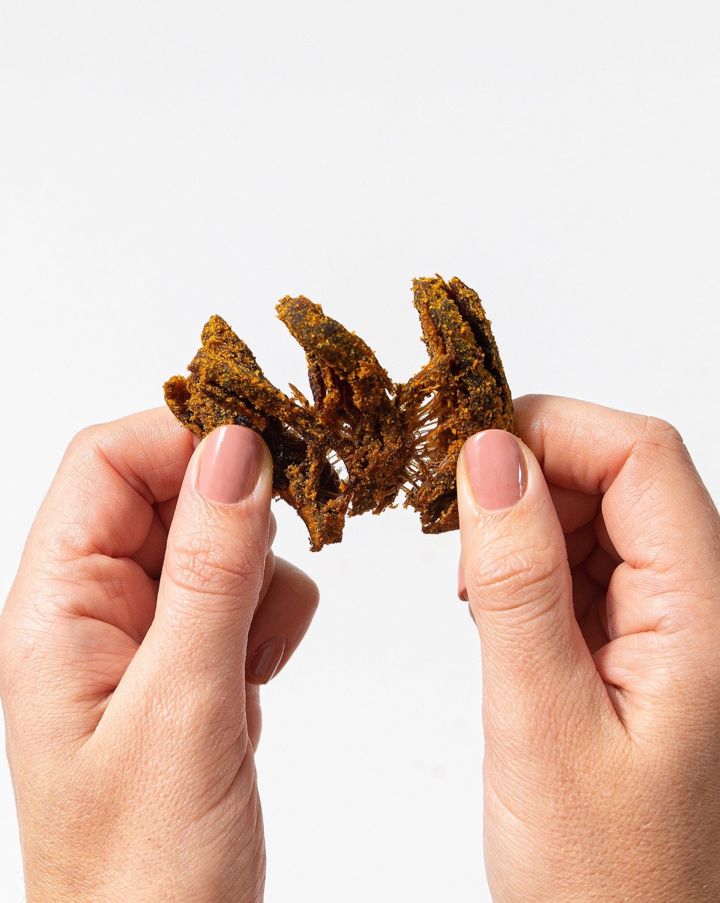 Curry Mushroom Jerky