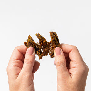 Curry Mushroom Jerky - Single Serve Pack