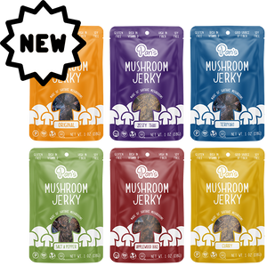 Pan's Mushroom Jerky 1oz Sampler Pack